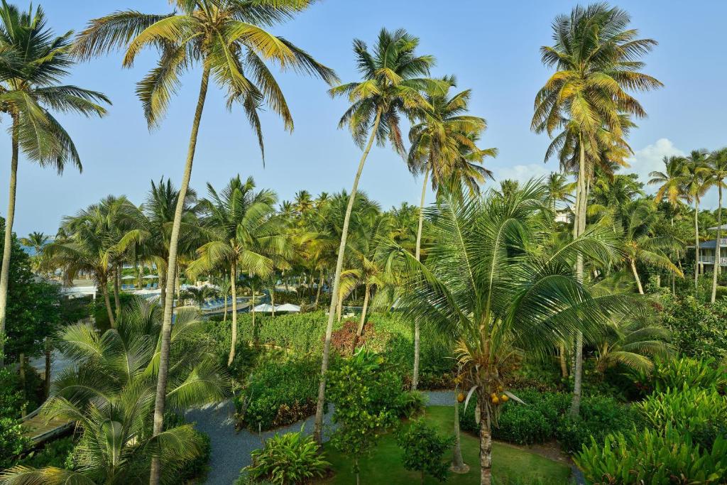 St. Regis Bahia Beach Resort, Puerto Rico - Grand Deluxe Queen, Garden View