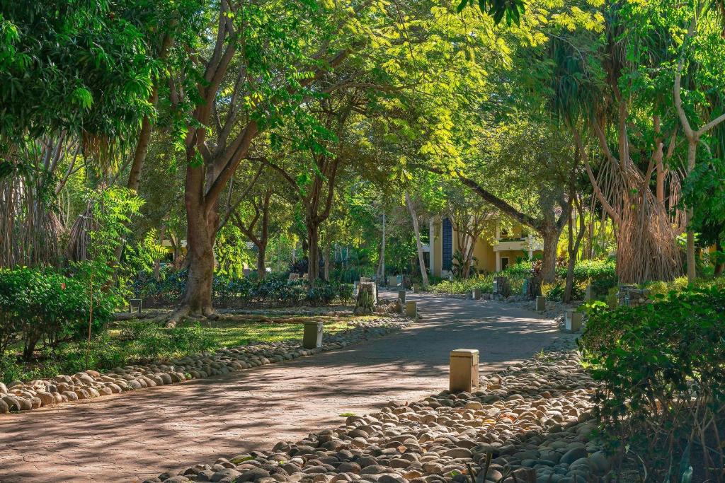 Сад в The Westin Reserva Conchal, an All-Inclusive Golf Resort & Spa