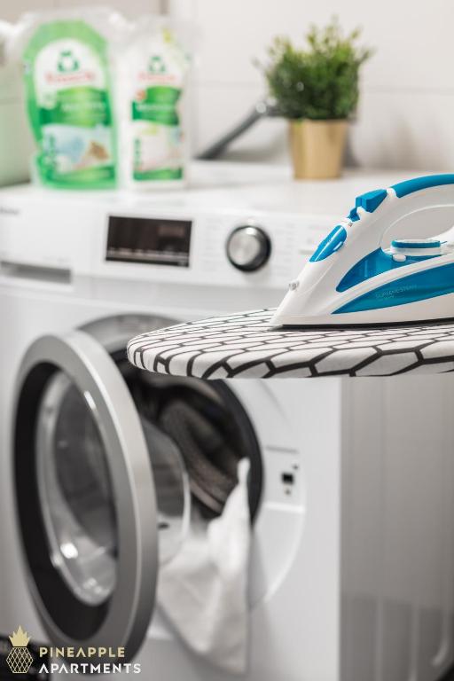 PINEAPPLE APARTMENTS - Altstadt III - 91qm - 1x free parking - 10