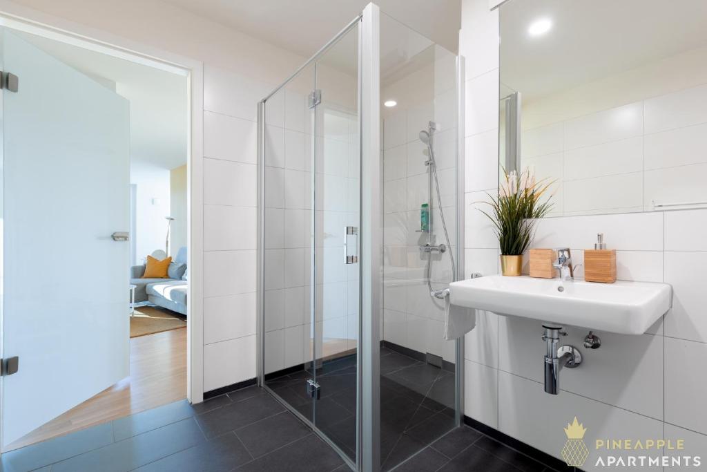 PINEAPPLE APARTMENTS - Altstadt III - 91qm - 1x free parking - 7