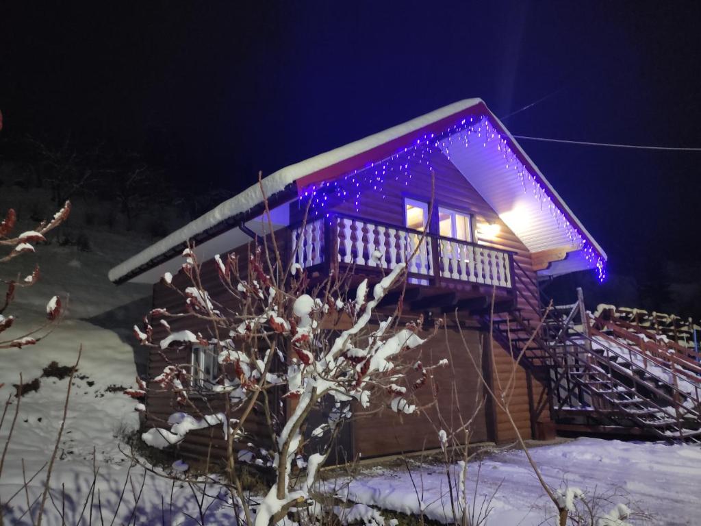 uma casa com uma iluminação roxa ao lado em Котеджі Мелодія Карпат em Slavske