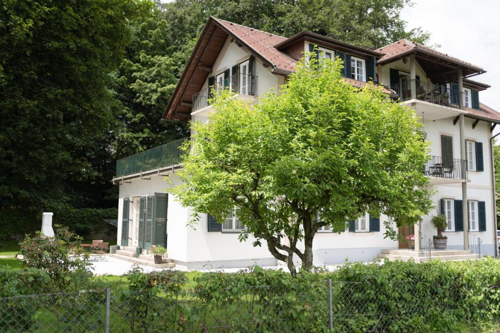 a white house with a tree in front of it at Villa Schwertführer in Velden am Wörthersee