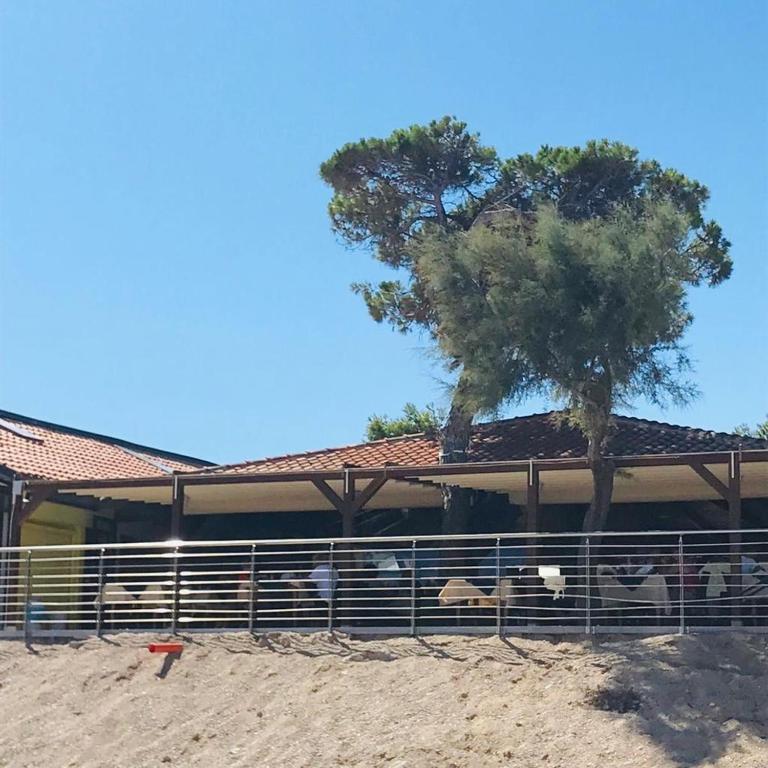 Fotografie z fotogalerie ubytování Camping La Pineta v destinaci Porto Recanati