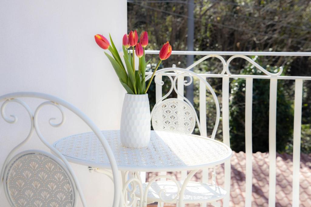 B&B MicAnTo - 6