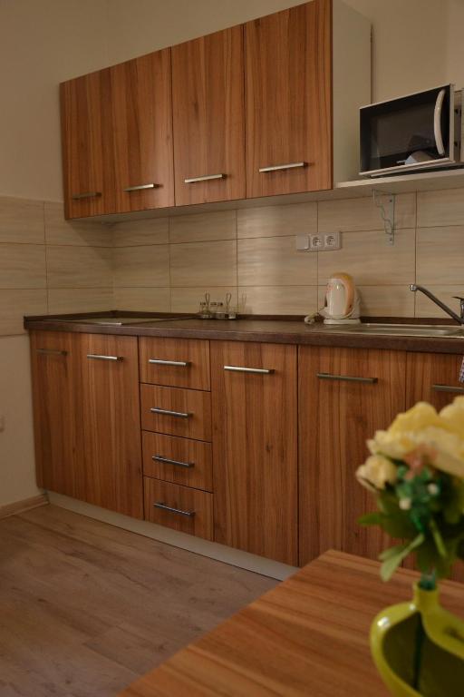 Kuchyň nebo kuchyňský kout v ubytování Hotel Děčín Na Skřivánce