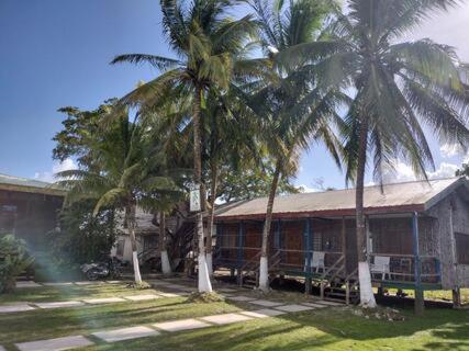 ein Haus mit zwei Palmen davor in der Unterkunft Lamanai Riverside Retreat in Orange Walk Town