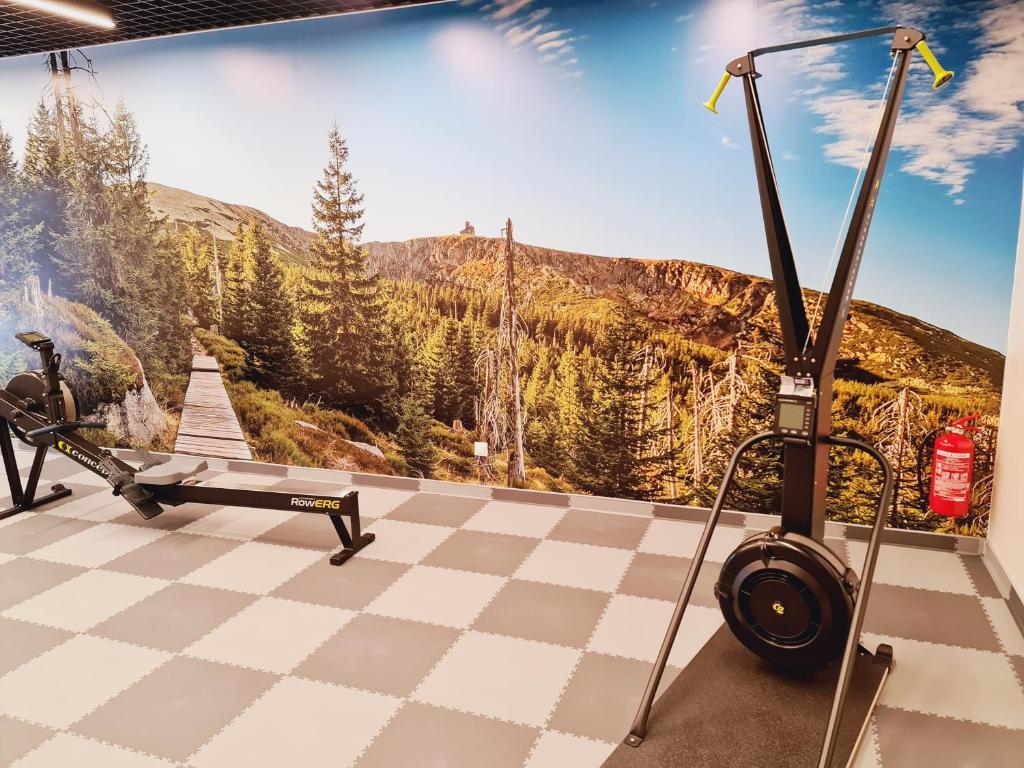 Posilňovňa alebo fitness centrum v ubytovaní Apartament A2 DOMiTU z Basenem, Sauną, Jacuzzi - 5D Apartments