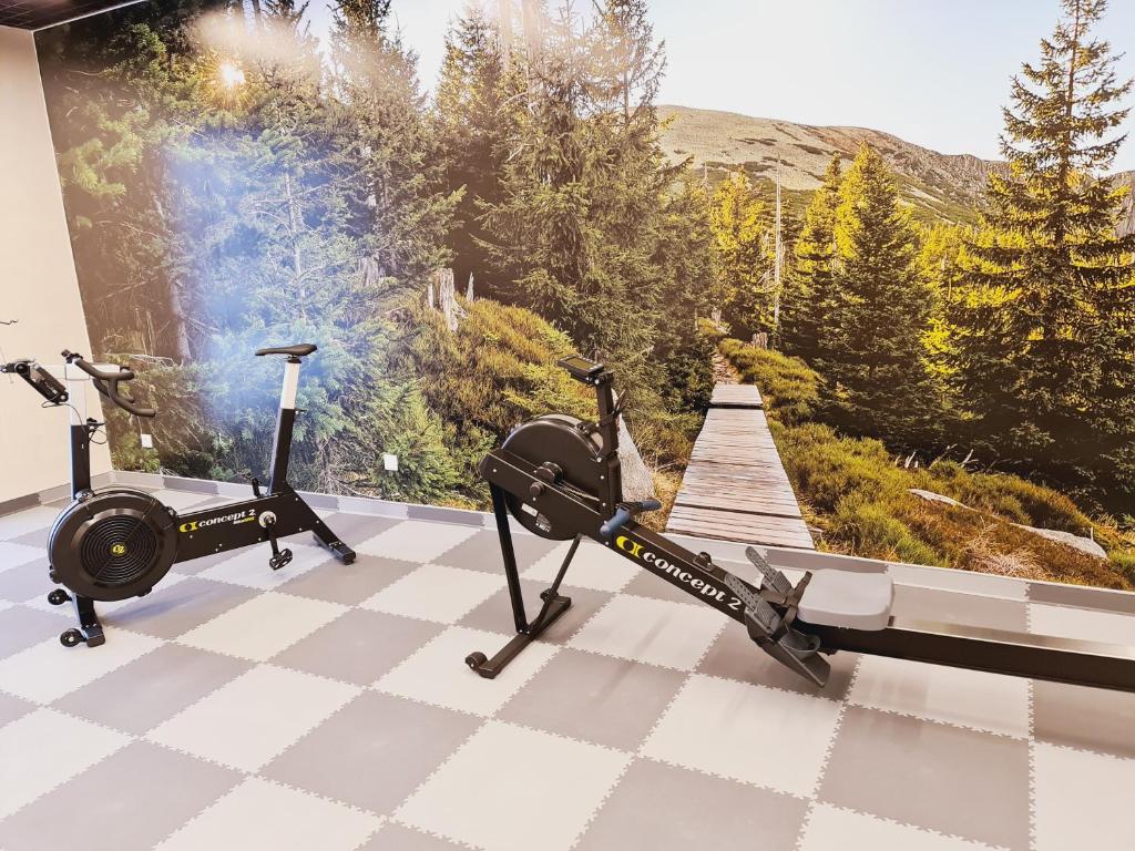 Posilňovňa alebo fitness centrum v ubytovaní Apartament A2 DOMiTU z Basenem, Sauną, Jacuzzi - 5D Apartments