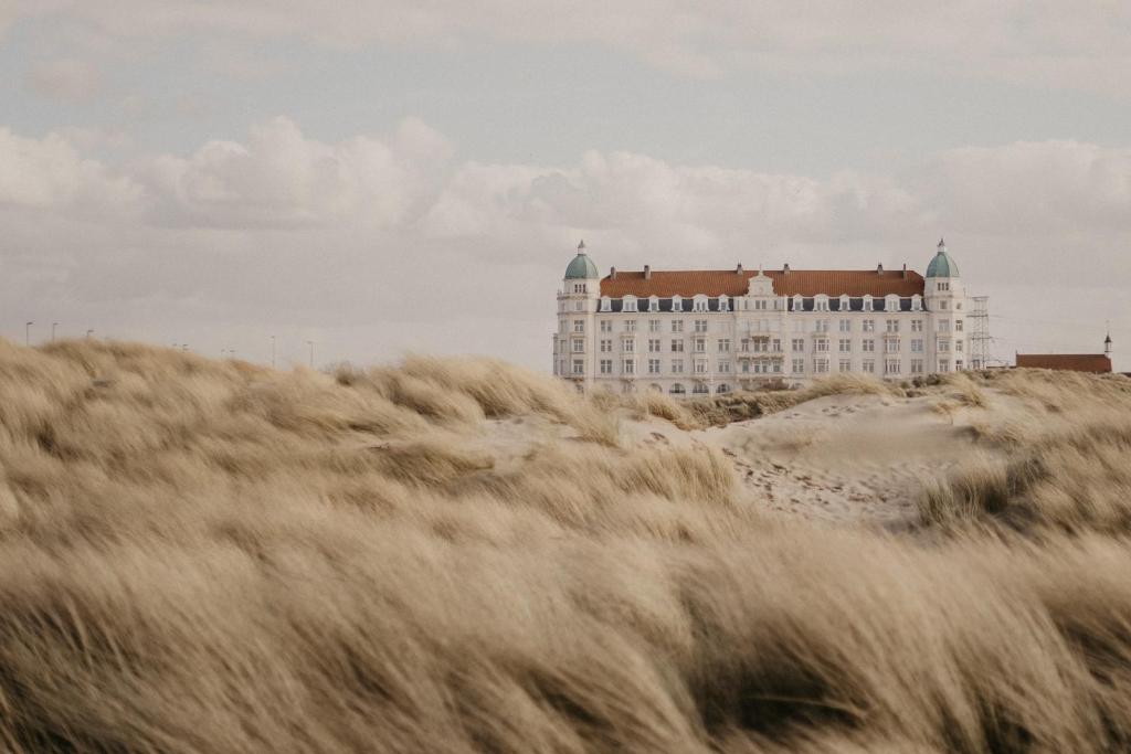 een gebouw bovenop een zandstrand bij DUNE DU PALACE in Zeebrugge