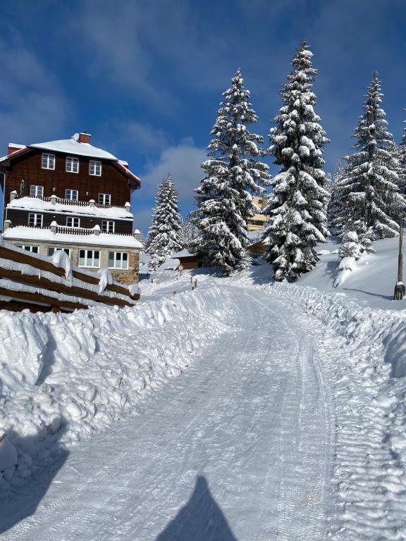 a snow covered road in front of a house with trees at Apartmán Meluzína in Staré Hamry