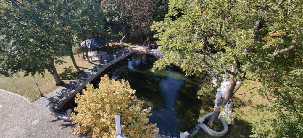 Gartenhotel Altmannsdorf - Resim 15