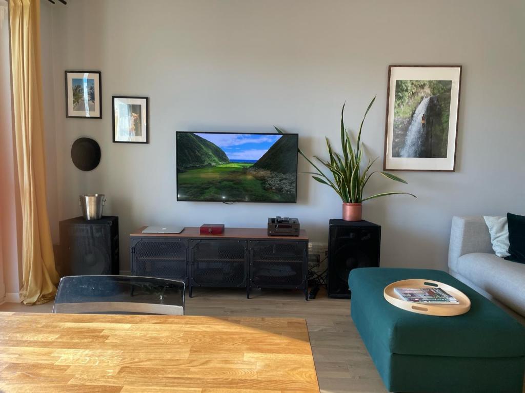 Televízia a/alebo spoločenská miestnosť v ubytovaní Royal Park Łazienki - Terrace Boutique Apartment