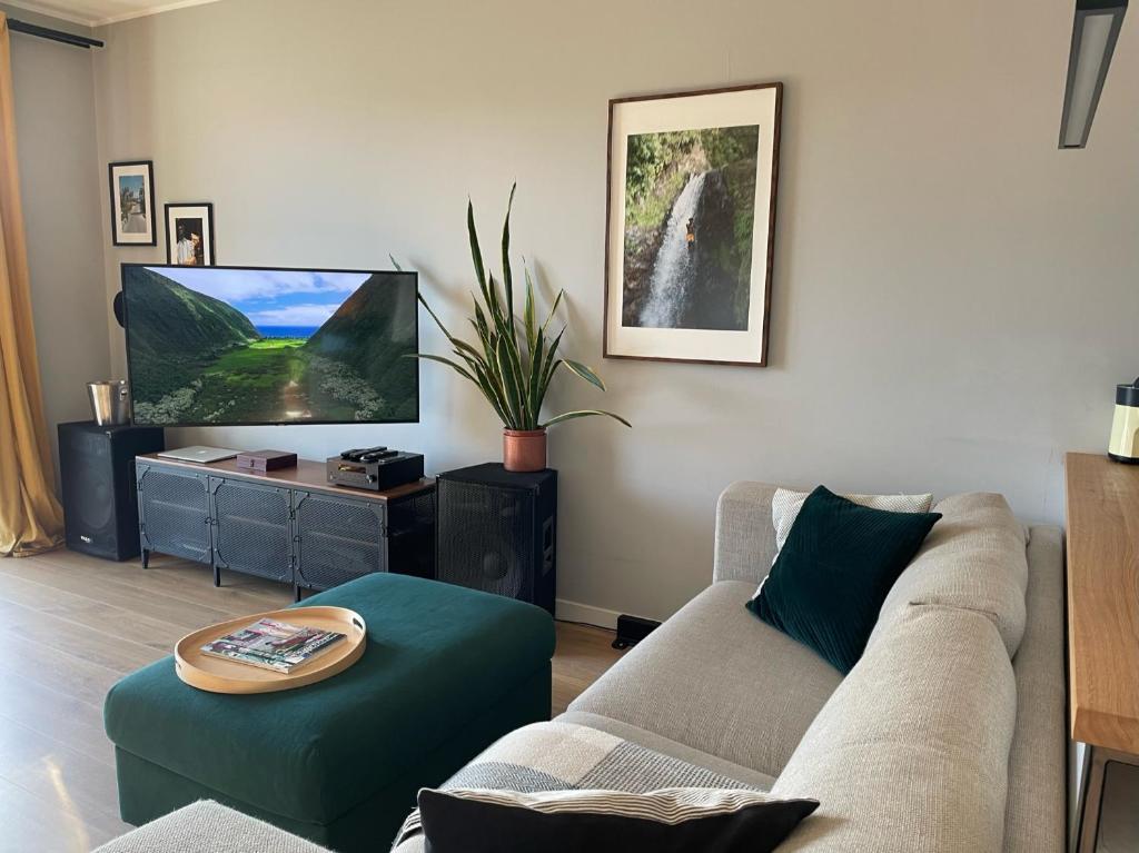 Televízia a/alebo spoločenská miestnosť v ubytovaní Royal Park Łazienki - Terrace Boutique Apartment