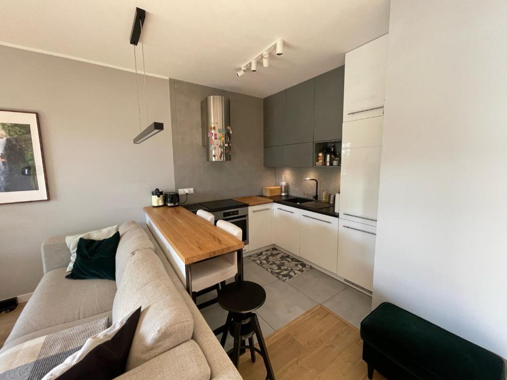 Kuchyňa alebo kuchynka v ubytovaní Royal Park Łazienki - Terrace Boutique Apartment