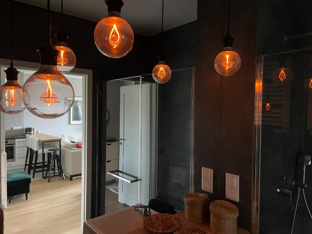 Kuchyňa alebo kuchynka v ubytovaní Royal Park Łazienki - Terrace Boutique Apartment