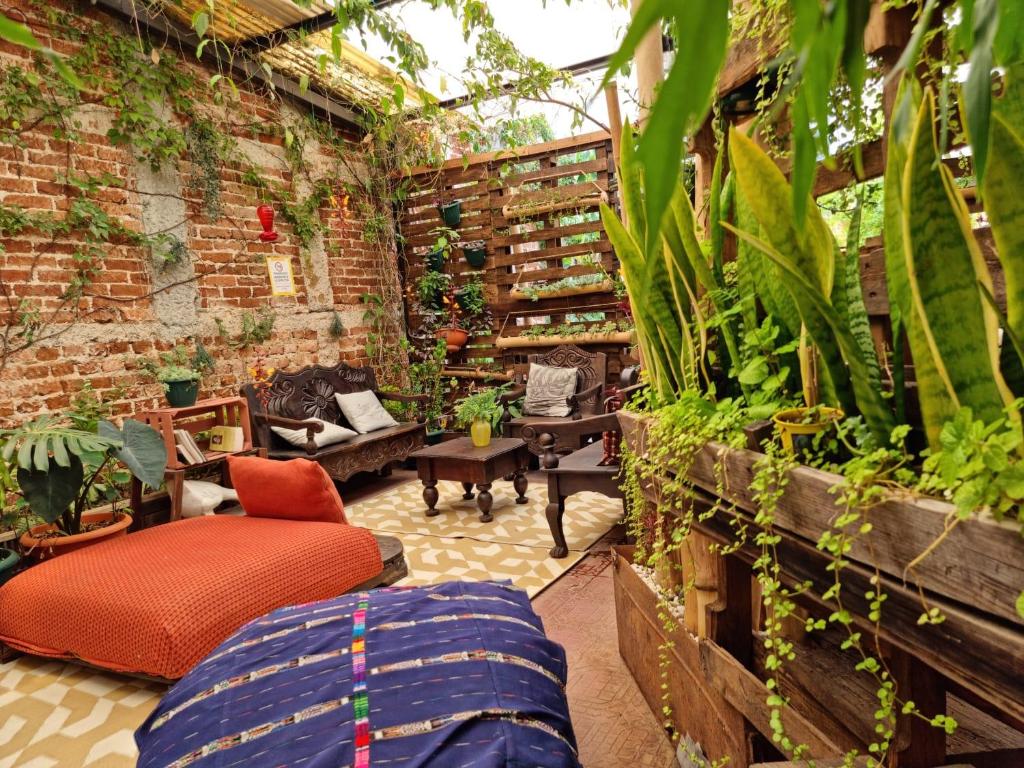 an outdoor patio with a greenhouse with plants at ESTU habitaciones in Guatemala