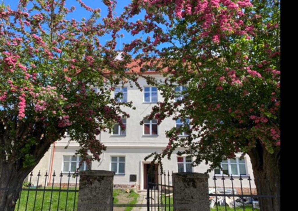 Fotografia z galérie ubytovania Apartament 3 pokojowy z parkingiem v destinácii Ząbkowice Śląskie