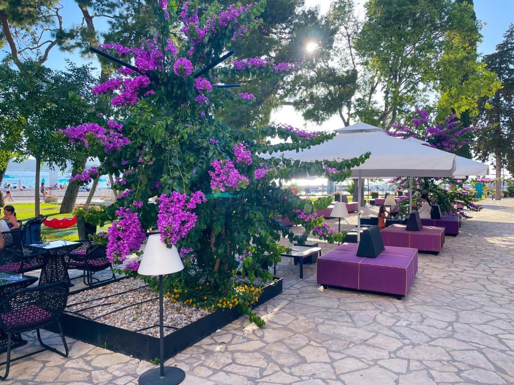 Zahrada ubytování Ilirija Resort Hotel Kornati