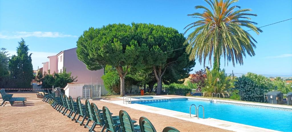 - une piscine avec des chaises vertes et un palmier dans l'établissement Apartamentos Sol y Luna 3000, à Peñíscola