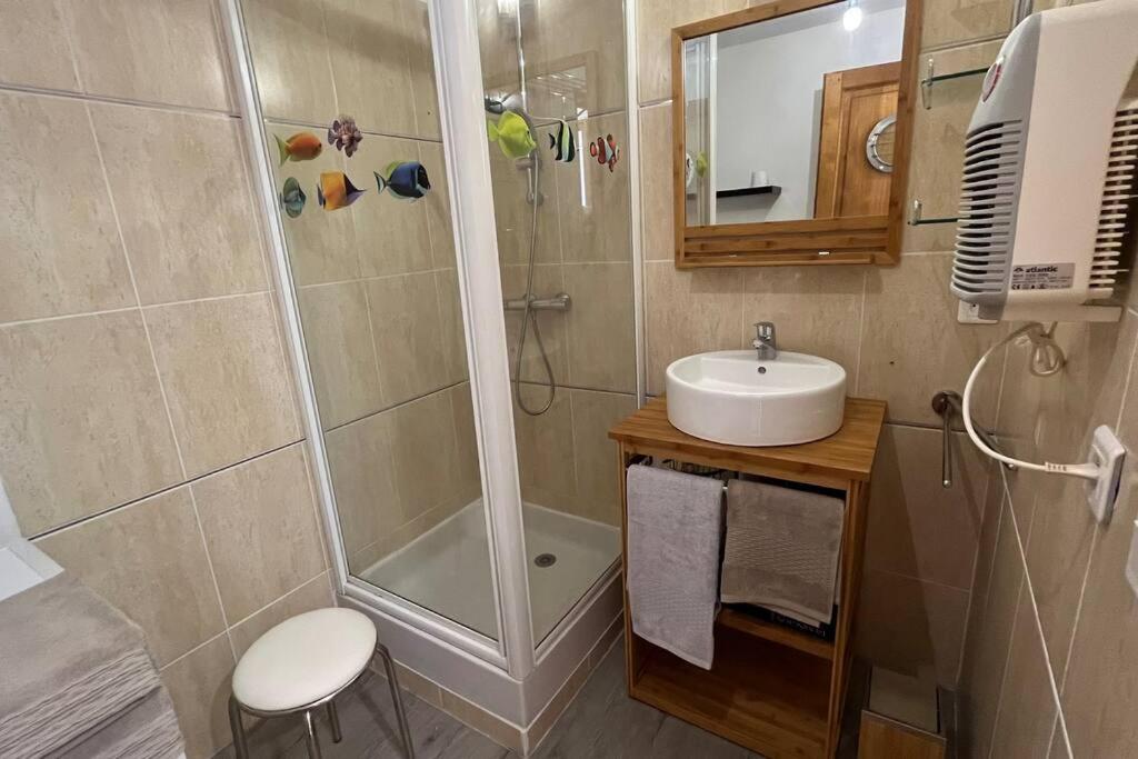 a bathroom with a shower and a sink at La Reinette du Verger 9 d&#39;Arry 1 in Arry