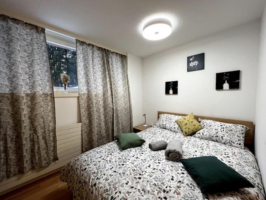 sypialnia z łóżkiem i oknem w obiekcie Lovely 2 Bedrooms Apartment in Davos Platz, Davos w Davos