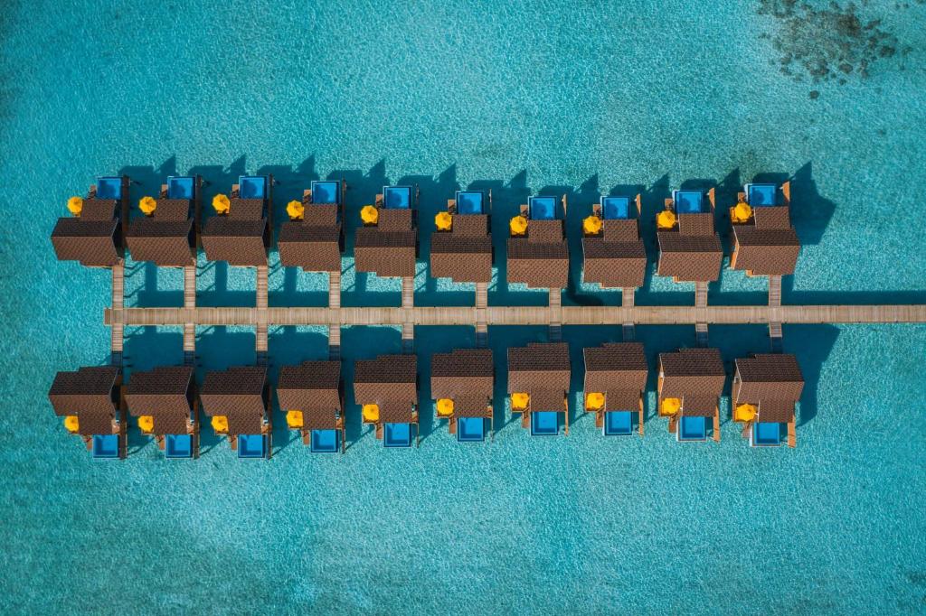 an overhead view of an island in the water at Dhigufaru Island Resort in Baa Atoll