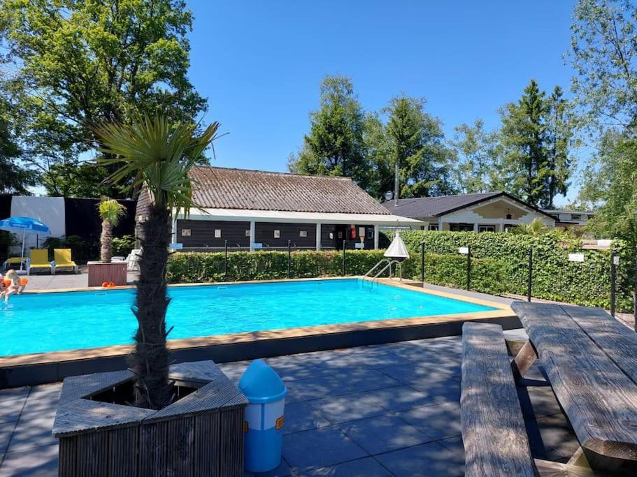 una piscina con una palmera junto a una casa en Luxe omheind chalet op vakantiepark met zwembad, en Schoonebeek