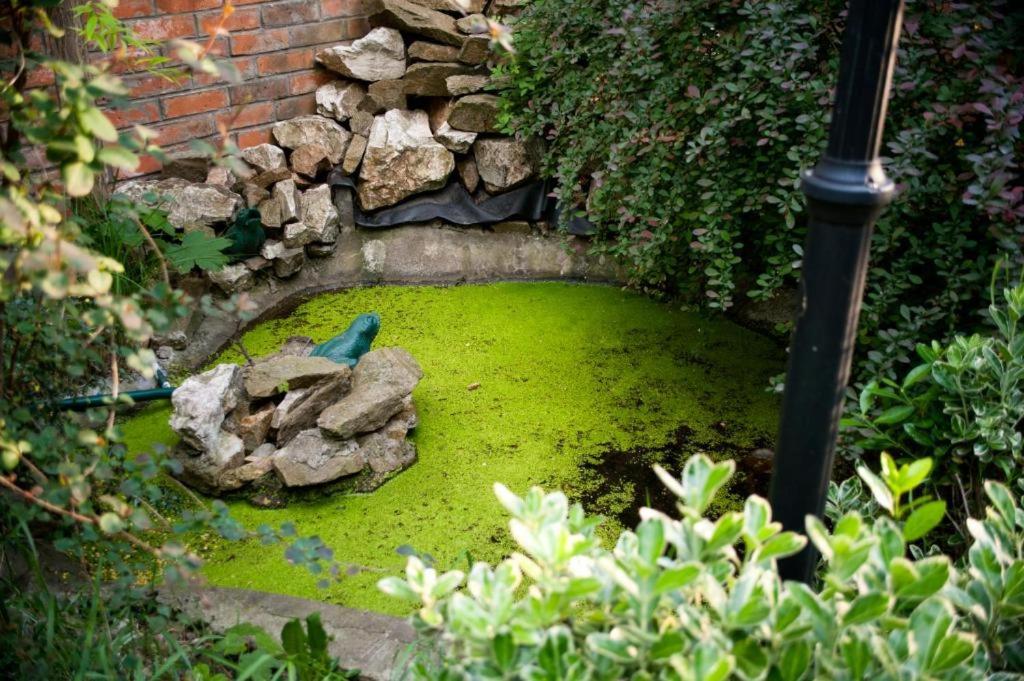 HOTEL DECENTRIA - Resim 16