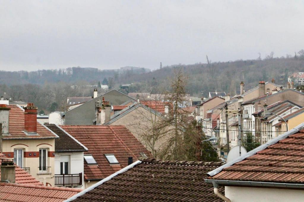 - Vistas a una ciudad con casas y tejados en Grace cosy, en Villers-lès-Nancy