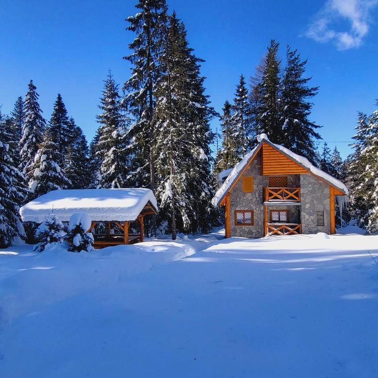 Chata Tatry v zimě