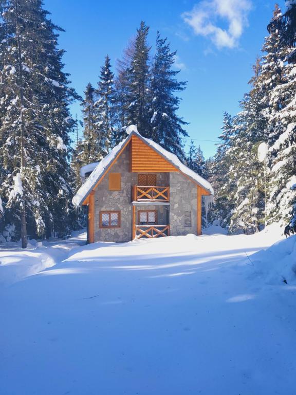 Chata Tatry v zimě