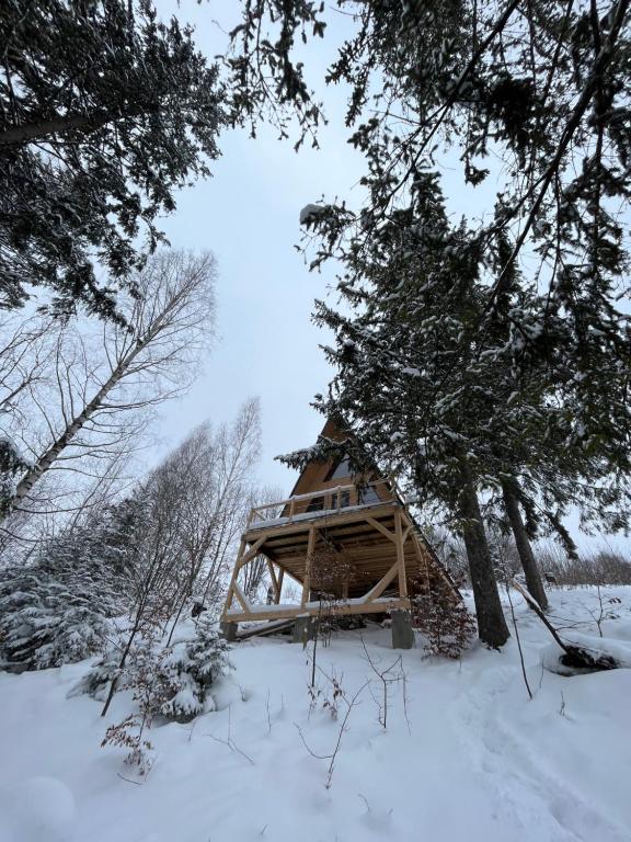 a tree house in the snow in a field at Схованка in Yaremche