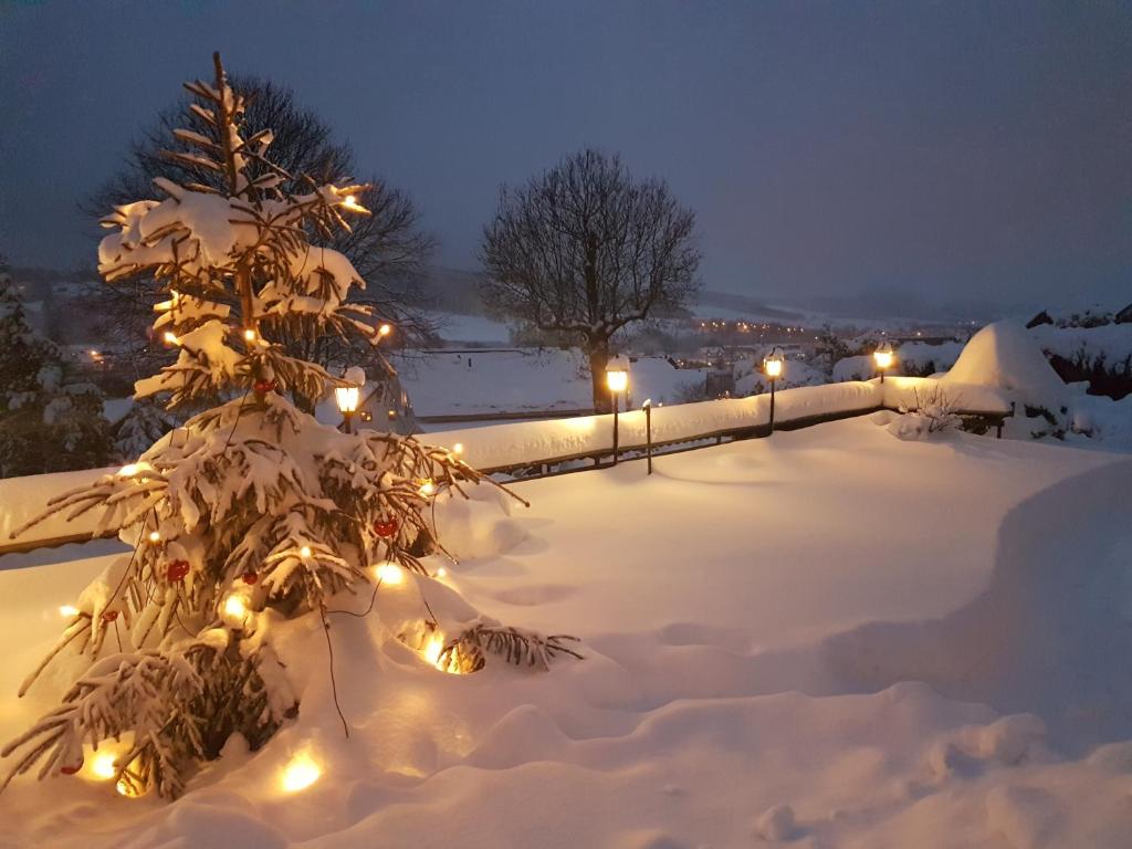 Hotel Zum Poppschen Gut v zimě