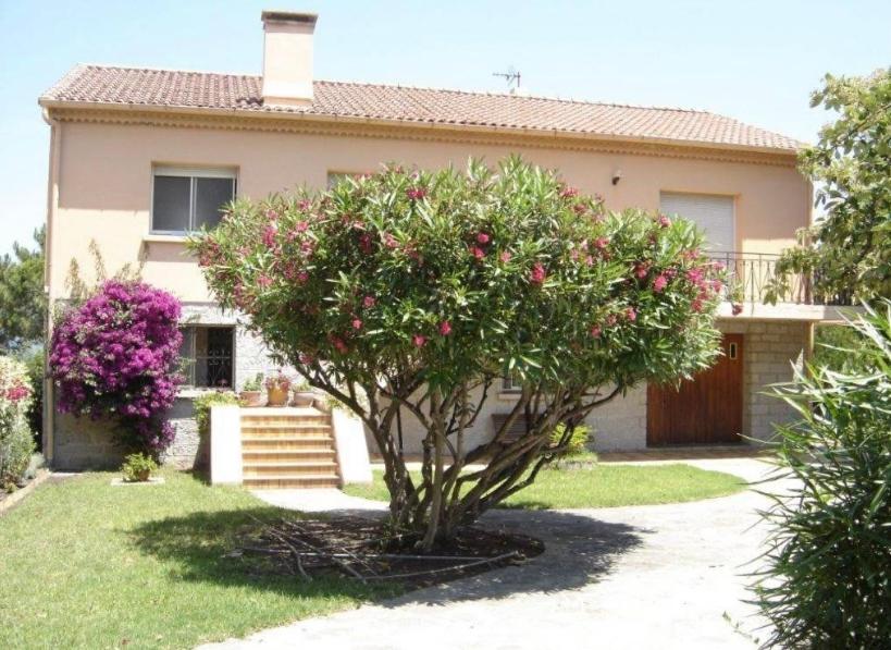 un albero di fronte a una casa con fiori rosa di Casa Rossa Solenzara a Sari Solenzara