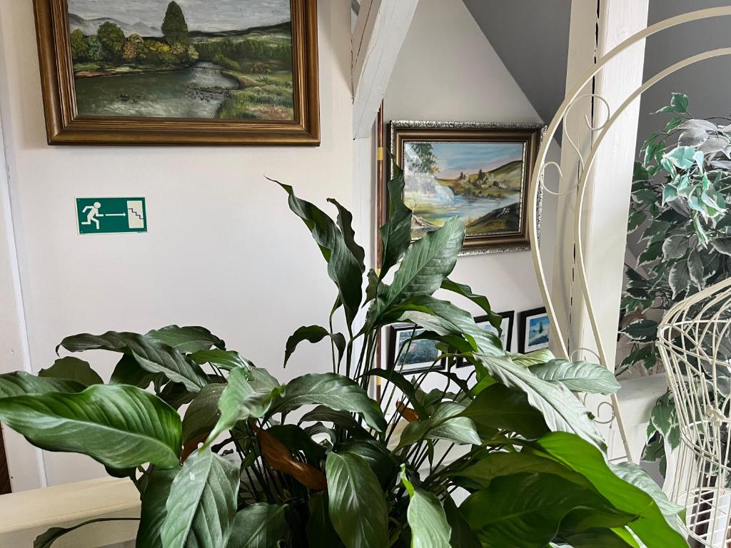 Fotografie z fotogalerie ubytování Penzion Pomodoro v destinaci Vrbno pod Pradědem