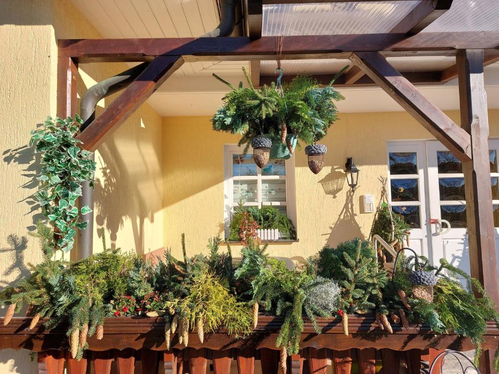 Zahrada ubytování Hotel Zum Poppschen Gut