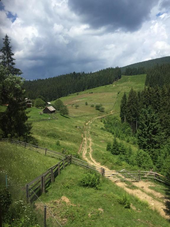 Příroda nedaleko chaty