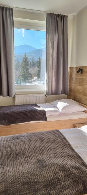 Posteľ alebo postele v izbe v ubytovaní Apartament, Pokoje Koniczynka