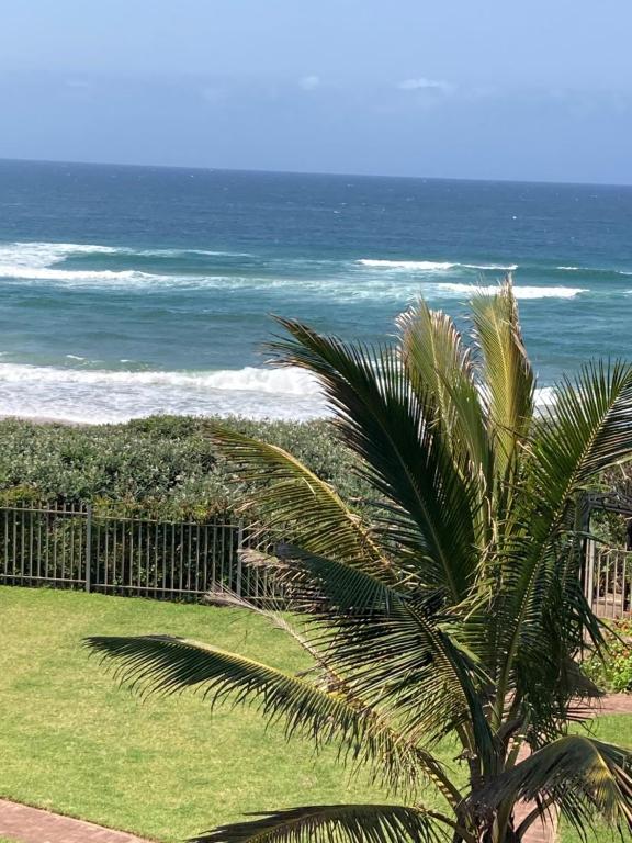 a palm tree in front of the ocean at Seesonnet 10 in Freeland Park