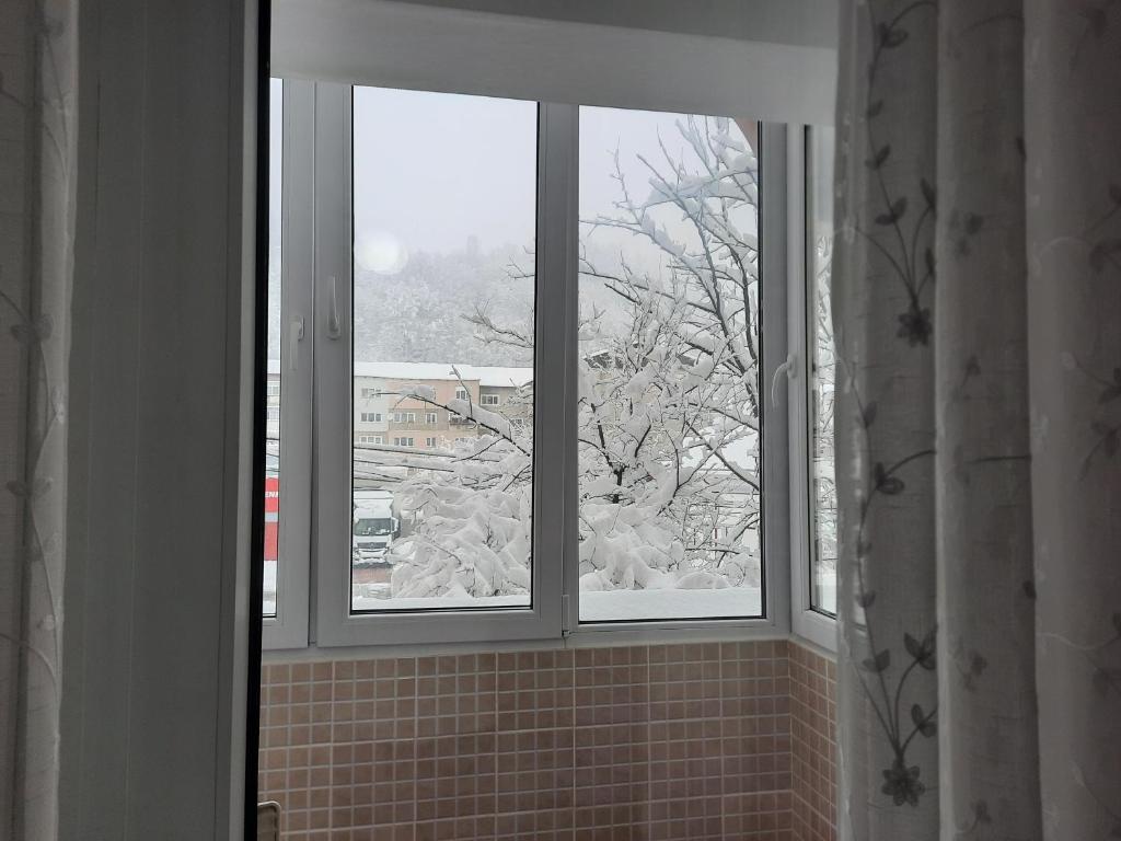 Apartament Elena v zimě