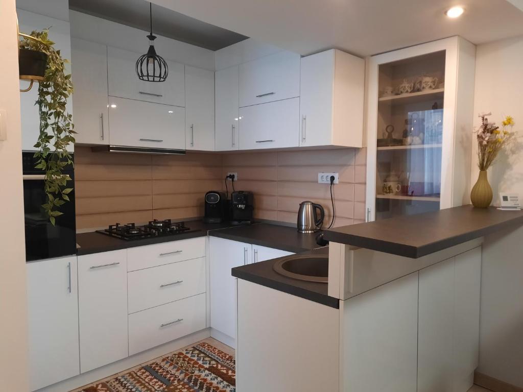 Kuchyň nebo kuchyňský kout v ubytování Apartament Elena