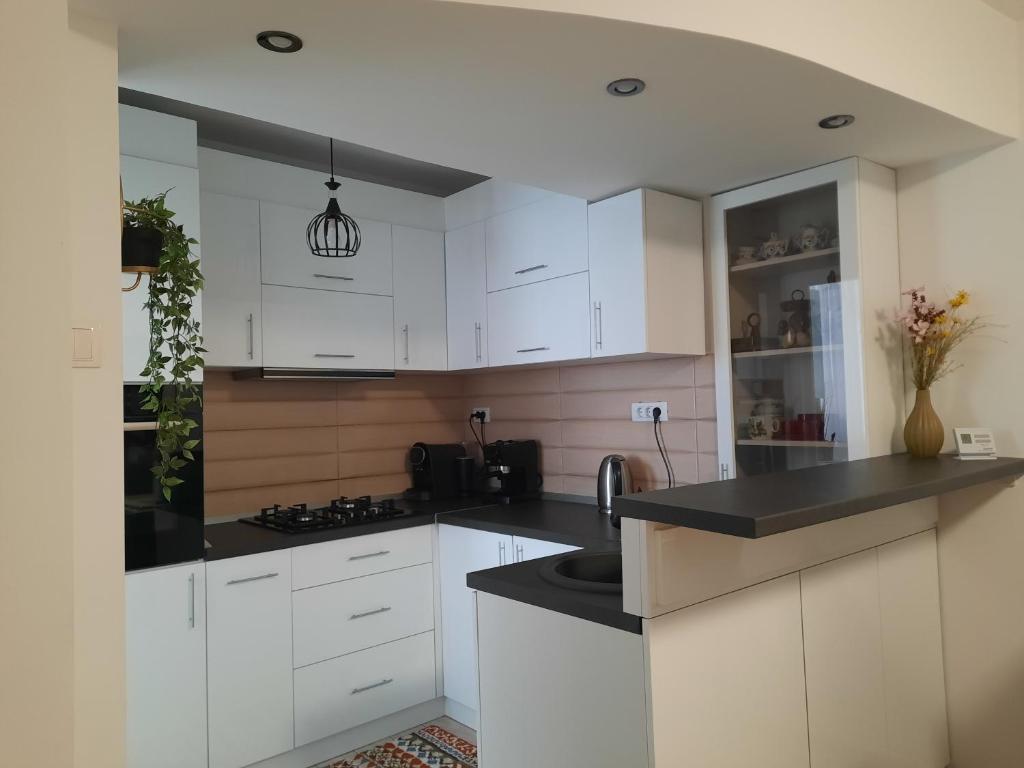 Kuchyň nebo kuchyňský kout v ubytování Apartament Elena