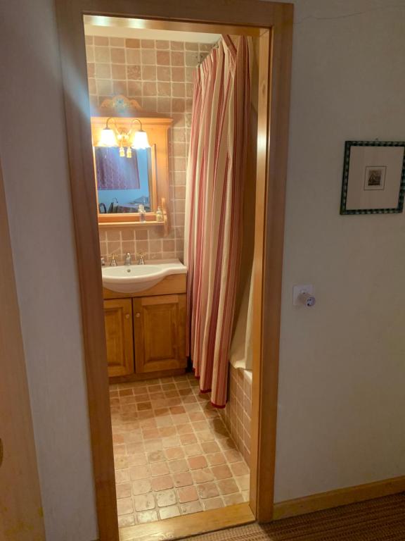 uma casa de banho com um lavatório e uma cortina de chuveiro em Appartamento route du Manège 7 Crans Montana em Crans-Montana