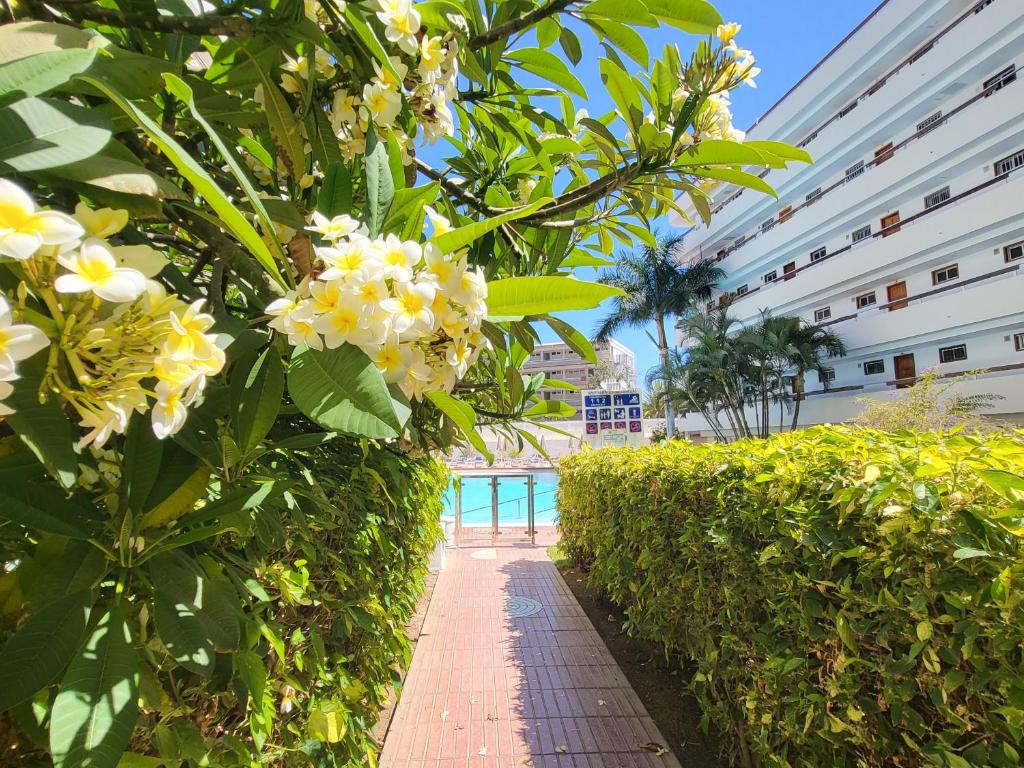 Las Camelias Apartments, Playa del Ingles (updated prices 2026)