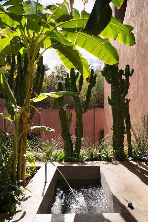Zahrada ubytování Maison Brummell Majorelle