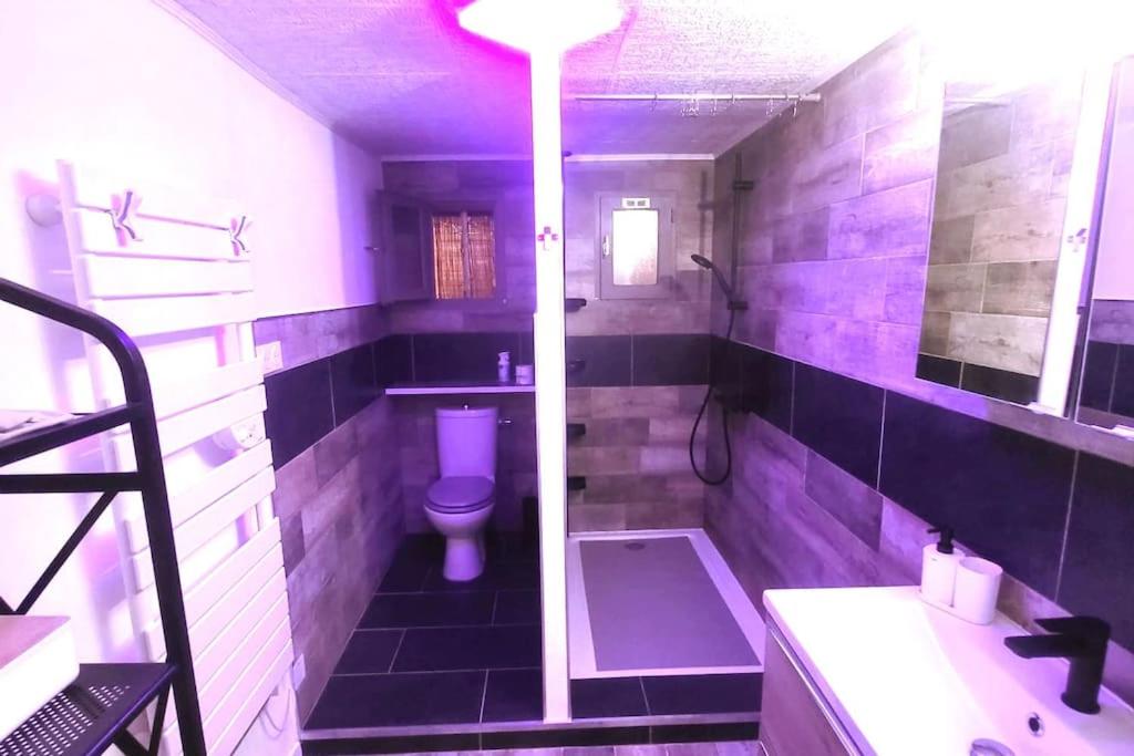 a purple bathroom with a toilet and a sink at appartement 1 étoile paisible et son jardin privé in Les Adrets de l'Esterel
