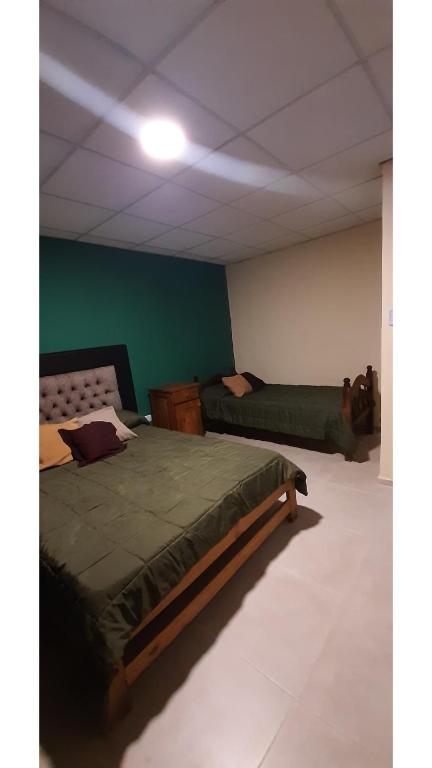 1 dormitorio con cama y pared verde en Departamento calle San Martín San Rafael Mendoza en San Rafael