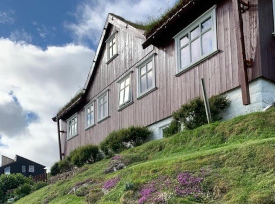 a house on top of a grassy hill at Cosy groundfloor apartment in Sørvágur