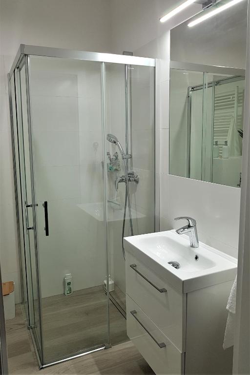 Kúpeľňa v ubytovaní Apartament GreyAppart