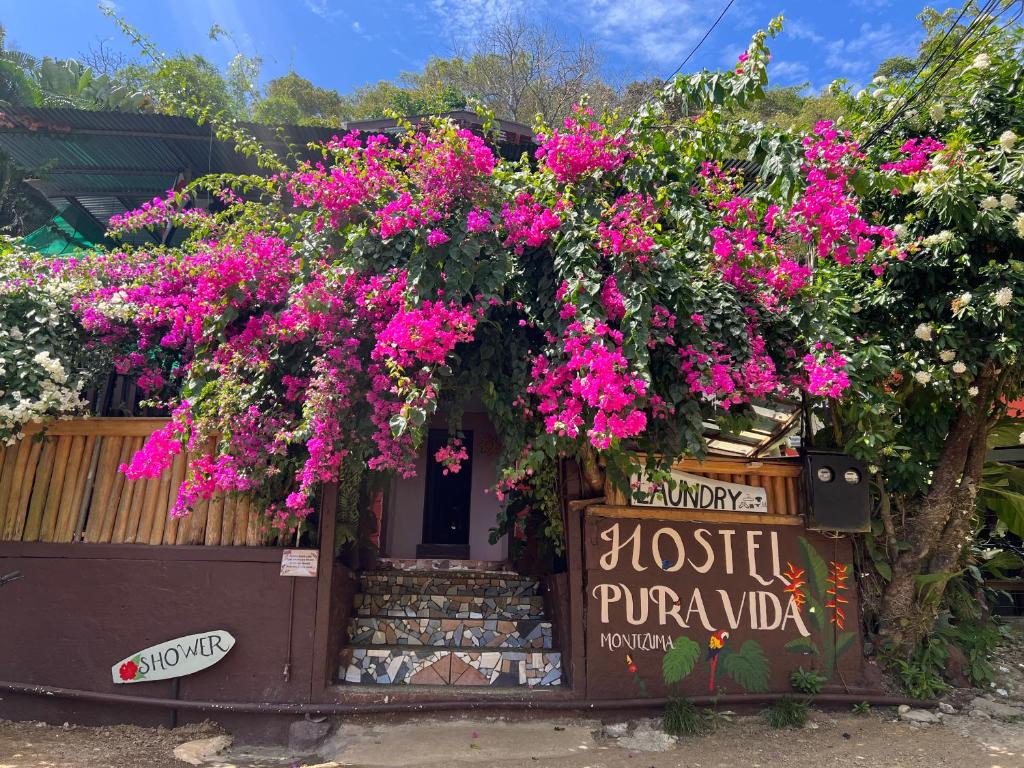 a flower shop with a bunch of pink flowers at Pura Vida Hostel in Montezuma